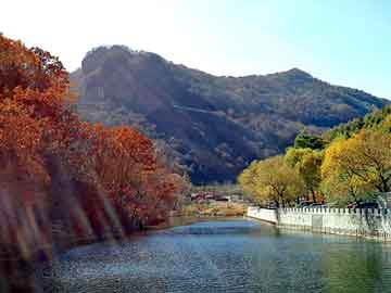 琑队如何完善青训导师与家长沟通平台